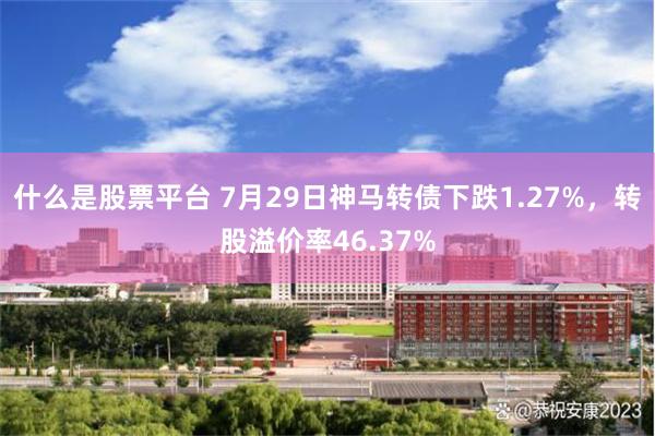 什么是股票平台 7月29日神马转债下跌1.27%，转股溢价率46.37%