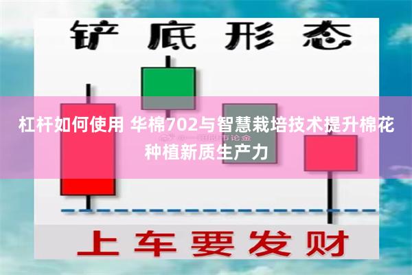 杠杆如何使用 华棉702与智慧栽培技术提升棉花种植新质生产力