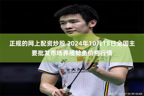 正规的网上配资炒股 2024年10月18日全国主要批发市场养殖鲶鱼价格行情