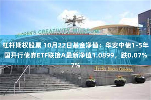 杠杆期权股票 10月22日基金净值：华安中债1-5年国开行债券ETF联接A最新净值1.0899，跌0.07%