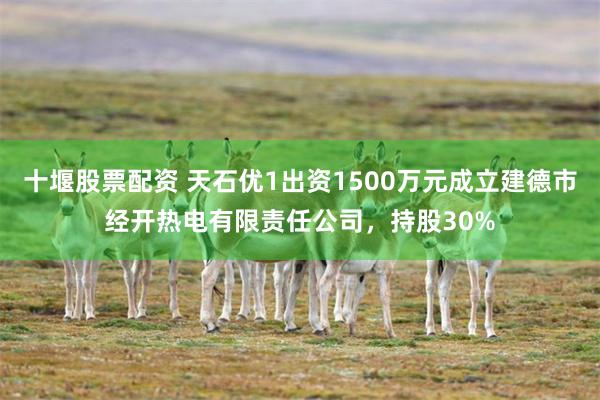 十堰股票配资 天石优1出资1500万元成立建德市经开热电有限责任公司，持股30%