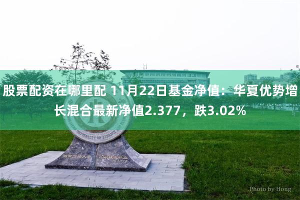 股票配资在哪里配 11月22日基金净值：华夏优势增长混合最新净值2.377，跌3.02%