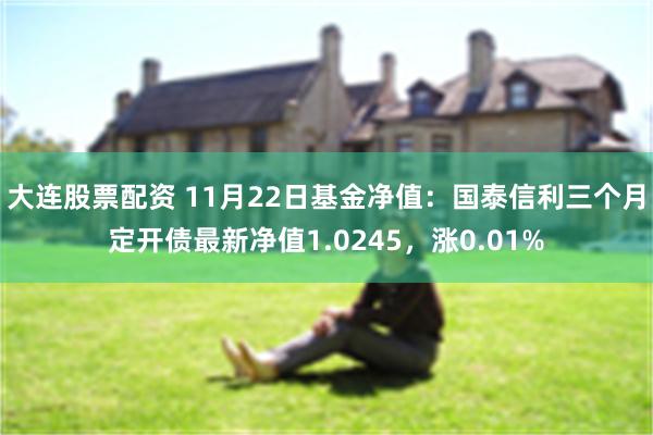 大连股票配资 11月22日基金净值：国泰信利三个月定开债最新净值1.0245，涨0.01%