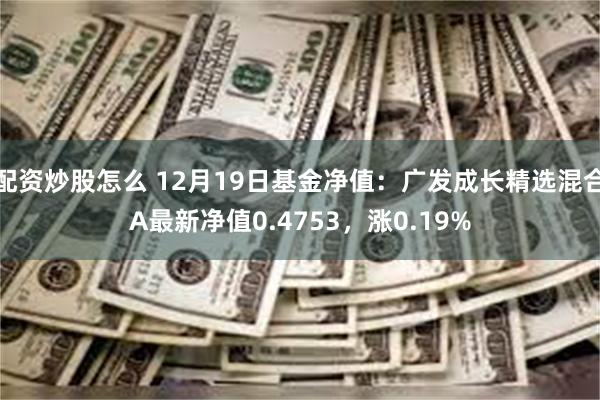 配资炒股怎么 12月19日基金净值：广发成长精选混合A最新净值0.4753，涨0.19%