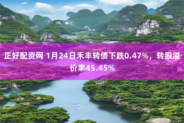 正好配资网 1月24日禾丰转债下跌0.47%，转股溢价率45.45%